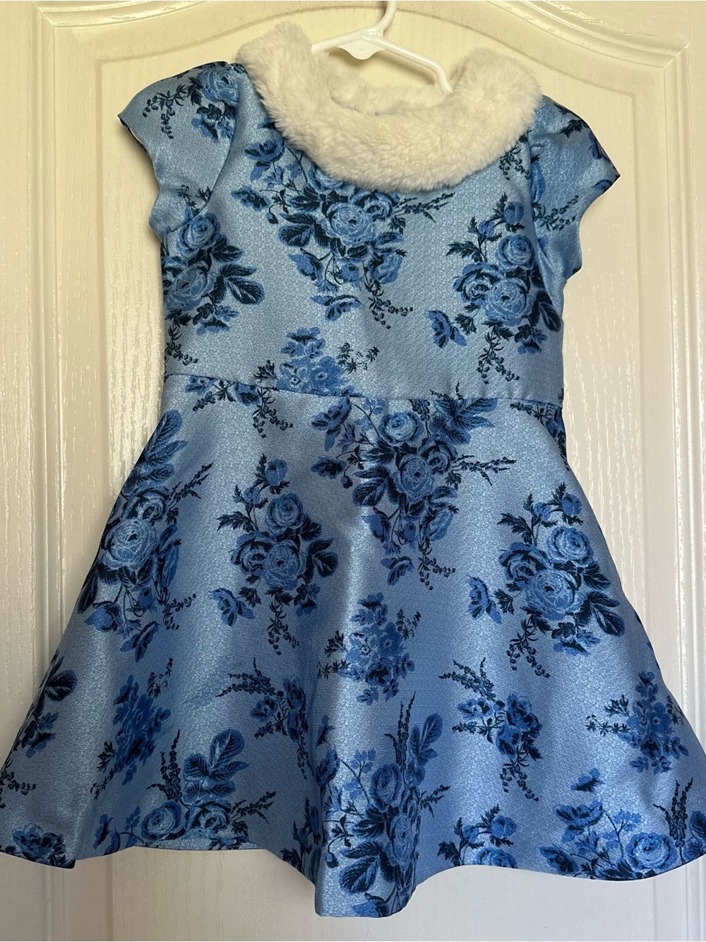 Janie and Jack Blue Floral Faux Fur Dress 2T